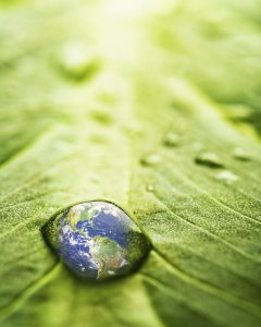 Environmentally Friendly Printer Primer Increases Print Quality