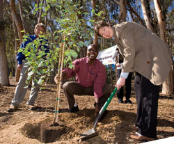 Campus Trees Mean Big Emissions Reductions for the University of California San Diego