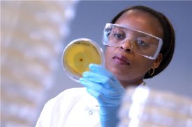 Generating Biofuels from Waste - An Alternative to Fossil Fuels