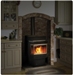 NPS45 Pellet Stove Model from Napoleon Fireplaces