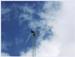 Montana 3.1m Wind Turbine Offered by Fortis America