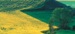 Biodiesel from ACCIONA Energy