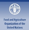 FAO Report Using Jatropha-Based Fuel to Benefit Poor Farmers