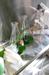 Solazyme Brews Up Fresh Funding for Algae Fuel Plans