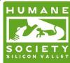 Animal Shelter to Go Green with Solar Power