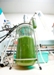 SBI Energy Report Predicts Open Pond Algae Farming in US