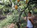 Increase in Climate Anomalies Drives Many Small Farmers to Ruin
