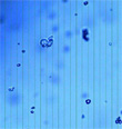 New Article Outlines Importance of Zeta Potential for Testing Wastewater from Biofuels Plants