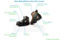 Bayer MaterialScience Develops Sustainable Shoe Concept