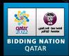 Qatar 2022 Bid Opened Up the Solar Powered Model Stadium