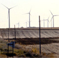 Demand for Stork Testing Services for Wind Farms Growing