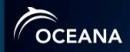 Oceana Report Predicts Offshore Wind Installations on East Coast Could Meet 50% of Power Requirement
