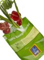 BASF to Focus on Ecoflex and Ecovio Biodegradable and Compostable Plastics