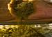 French Biomass Boiler Obtains €11 Million from European Commission