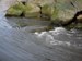 National Currents Submit Application to FERC for Tidal Turbine