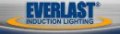 NASA Johnson Space Center Selects EverLast PVW Lighting for Illuminating Parking Lot