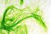 NX Global Plans to Build Waste to Energy Projects with Blue Green Algae