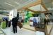 Energy Landscape Transformation in Abu Dhabi Emirate