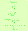 Biodiesel from Plant Waste