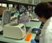 New Solar Fuels Lab Opened by NTU