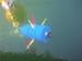 Nautricity Announces Testing of Tidal Power Generating Device