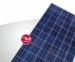 Conergy Canada Introduces Conergy ON Solar Modules