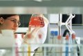 Polycard XFN - A New Class of Bio-Based Polyols
