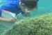 Research Indicates Coastal Nitrogen Pollution is More in Caribbean and Gulf of Mexico