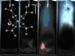 Researchers Discover Eco-Friendly Fuel for Space Vehicles