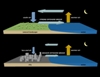 Paved Surfaces Cut Down Wind Movement and Increase Stagnant Polluted Air