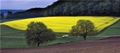 Empa Introduces New Online Tool to Calculate Biofuel Sustainability
