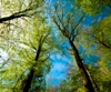 Risø DTU to Improve Infrastructure to Compile Greenhouse Gas Data