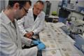 Scientists at Universitat Politècnica de Catalunya Formulate Bio-degradable Woolen Carpets