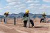 NRG Energy Takes Possession of Agua Caliente Solar Project