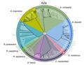 New Research Hints on Underestimation of Biodiversity Loss due to Global Warming