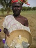 Research Finds Proper, In time Rainfall Forecasts Improve Agricultural Yields