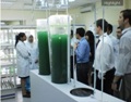 Algaetech Wins Green Excellence Award from Frost + Sullivan