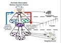 Kansas State University Researchers to Use Renewable Energy to Generate Active Power Distribution System