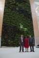 5 Story Biowall Filters VOCs and Acts As A Living Laboratory
