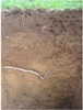 Researchers Suggest New Methods to Forecast Soil Carbon Response to Climate Changes
