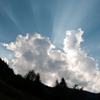 Environmental Scientists Examine Threat of Damaging Climatic Changes