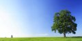 FIRA Share UK Furniture Industry Carbon Footprint Benchmarks