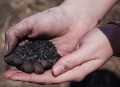 Carbon Negative Economic Forum Initiated by IOWA State University