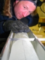 New Insights into Natural Changes in Atmospheric Methane Concentrations