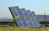 Independent Solar Developers, GreenVolts to Provide Solar Energy for Agricultural Applications