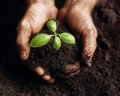 Cranfield Uni Gears Up for Summer School Focussing on the Environment and Water