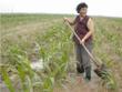 China’s Groundwater Pumping System Causes Air Pollution