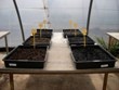 New Substrates Derived from Anaerobic Sludge Promote High Plant Yields