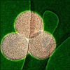 Researchers Enhance Battery Performance Using Porous Carbon Nanoparticles