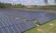 Southern Energy Management Constructs Solar Farm at Sandy Cross Vineyard